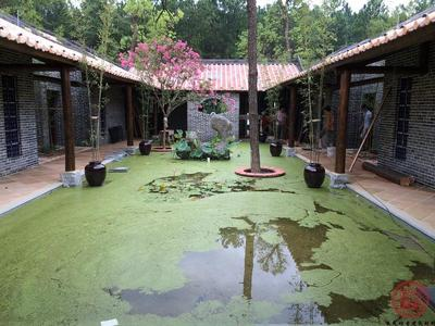 广东岭南风格青砖别墅园林工程